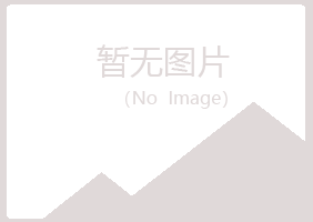 黄山黄山安蕾金属有限公司